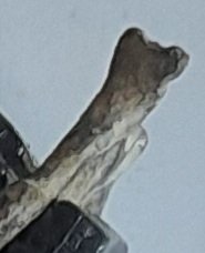 20240416_075723.jpg