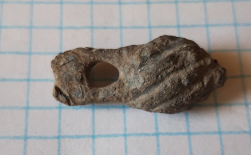20240523_090650[1].jpg