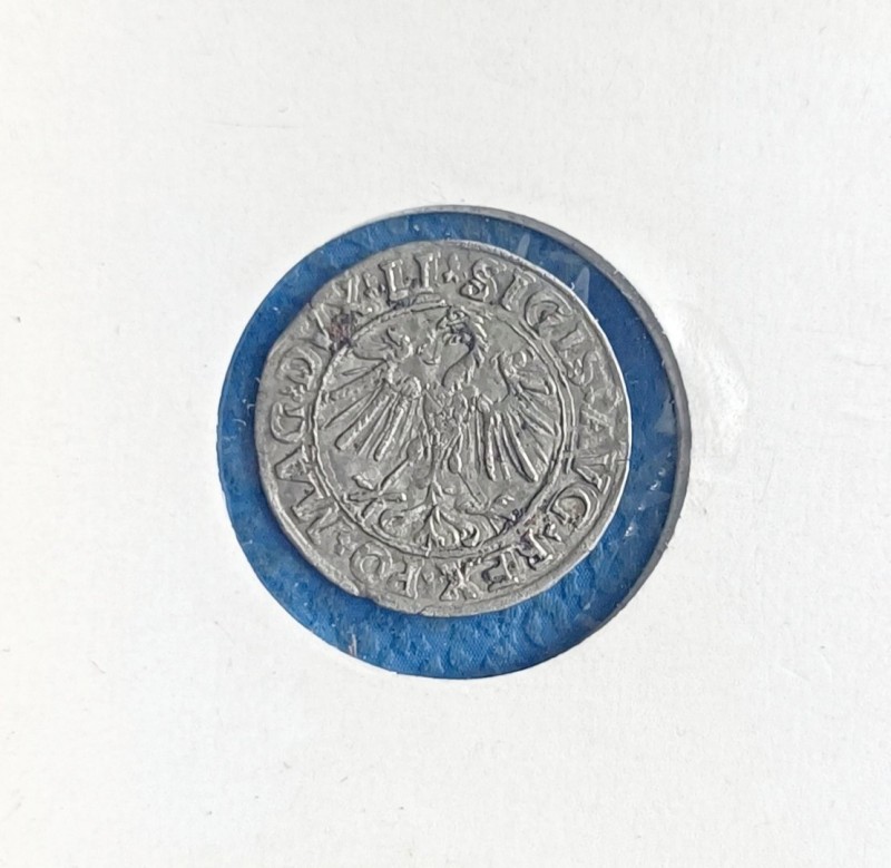 1718437063784.jpg