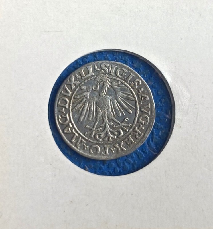 1718438342952.jpg