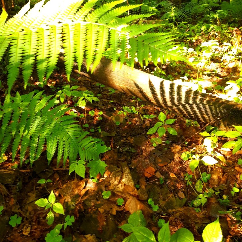 20240703_081904.jpg