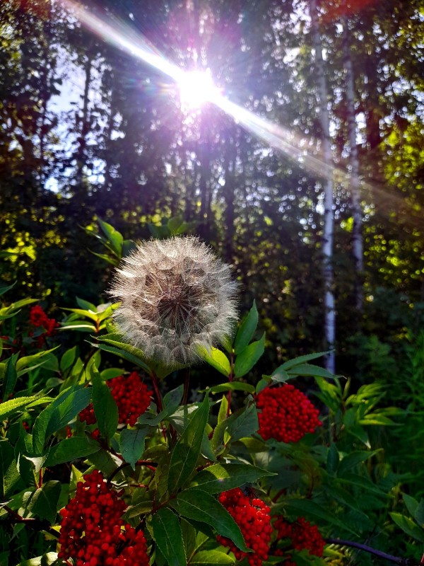 20240628_090453.jpg