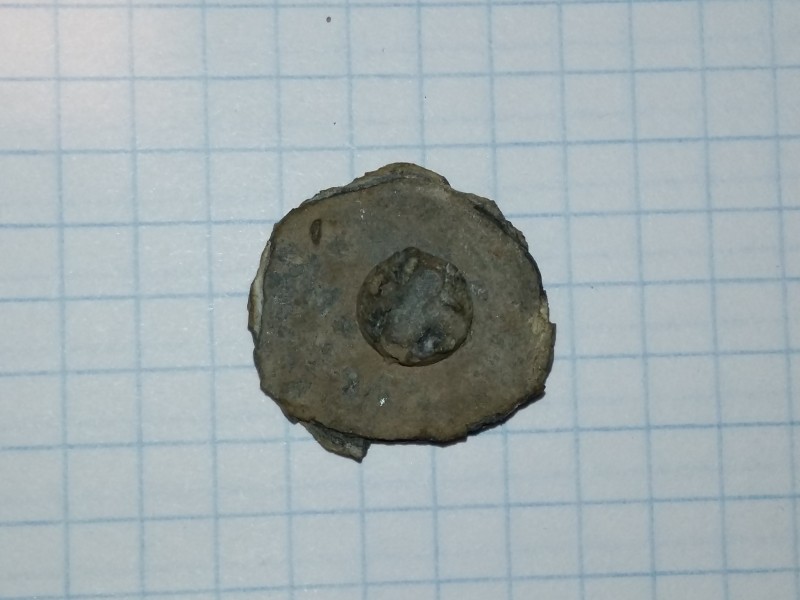 20190424_204211.jpg