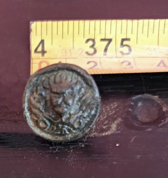 1725441819169.jpg