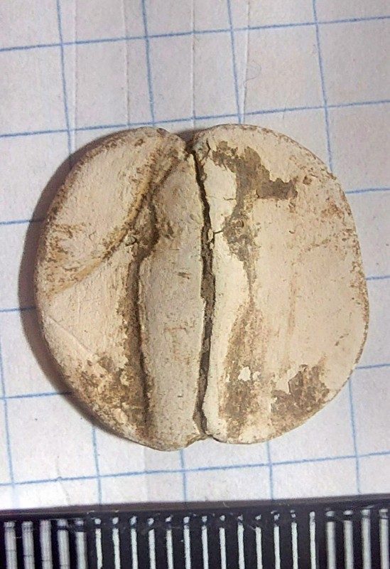 20240916_115212.jpg