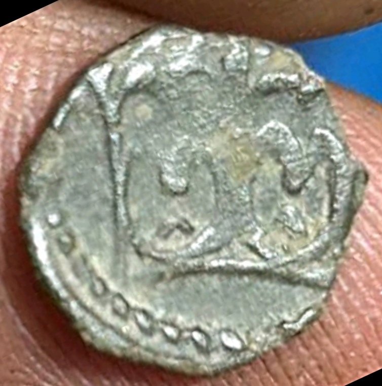 1730803597297.jpg