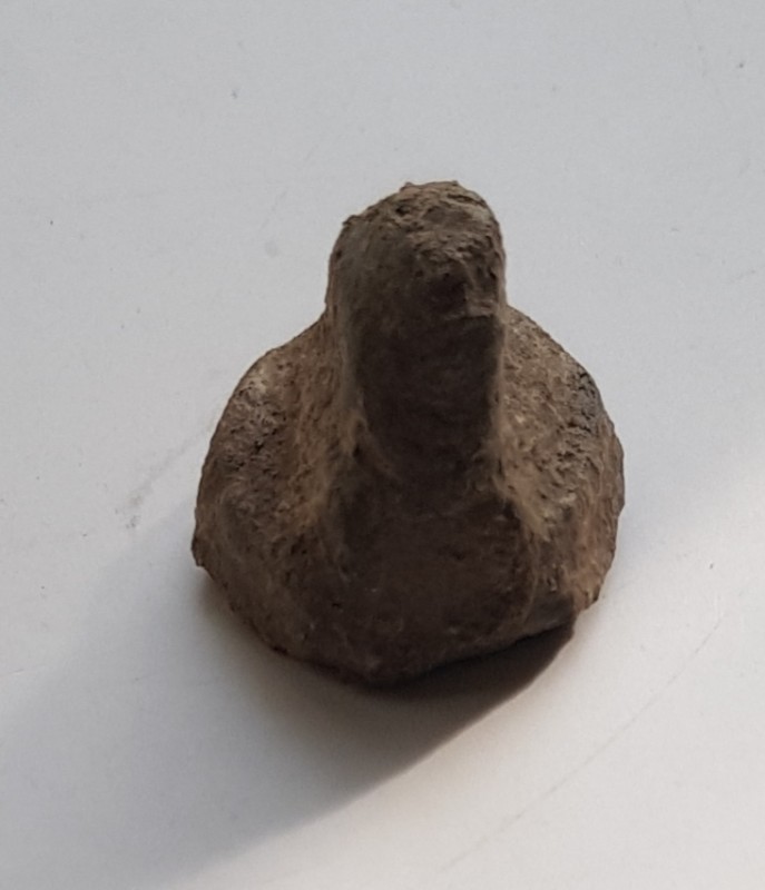20190510_091654.jpg