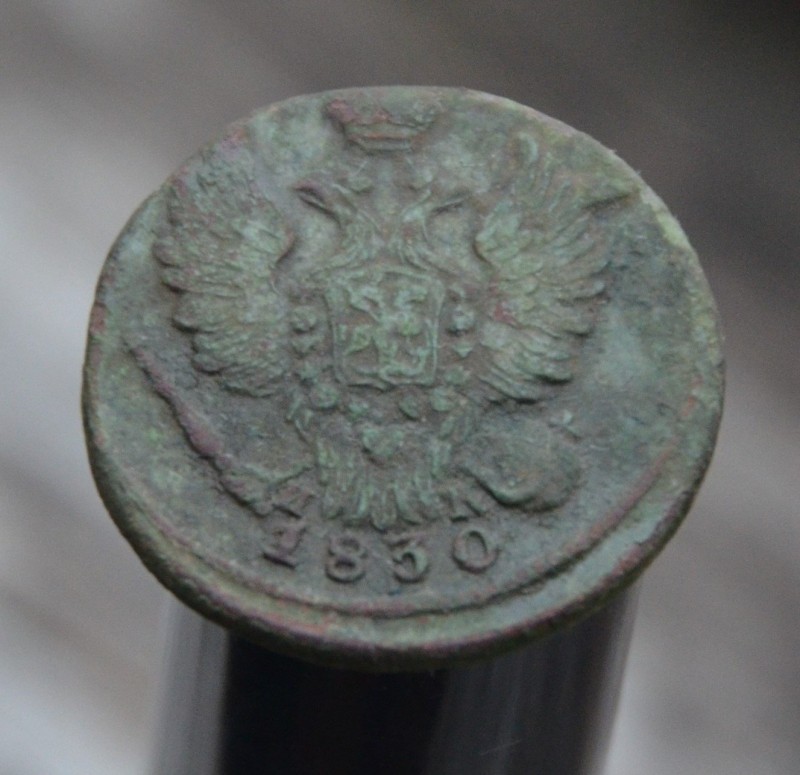 DSC_6447.JPG