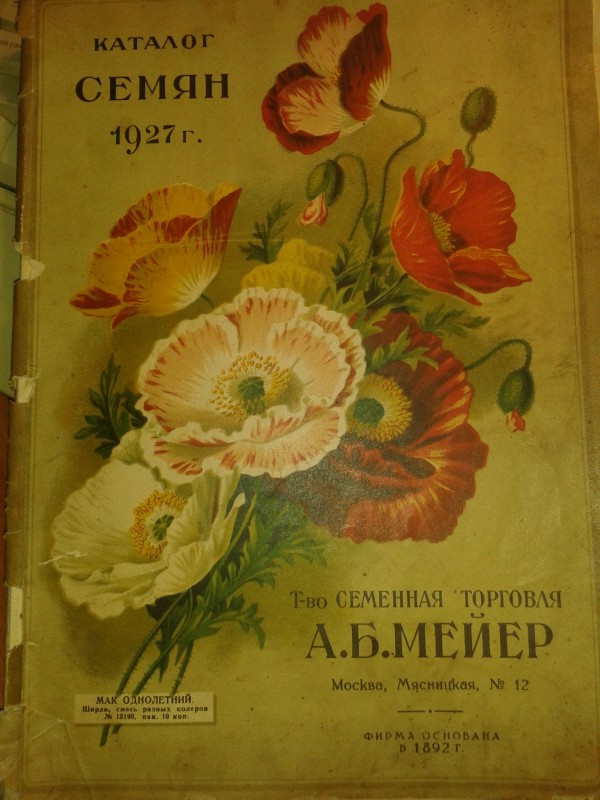 file.jpg