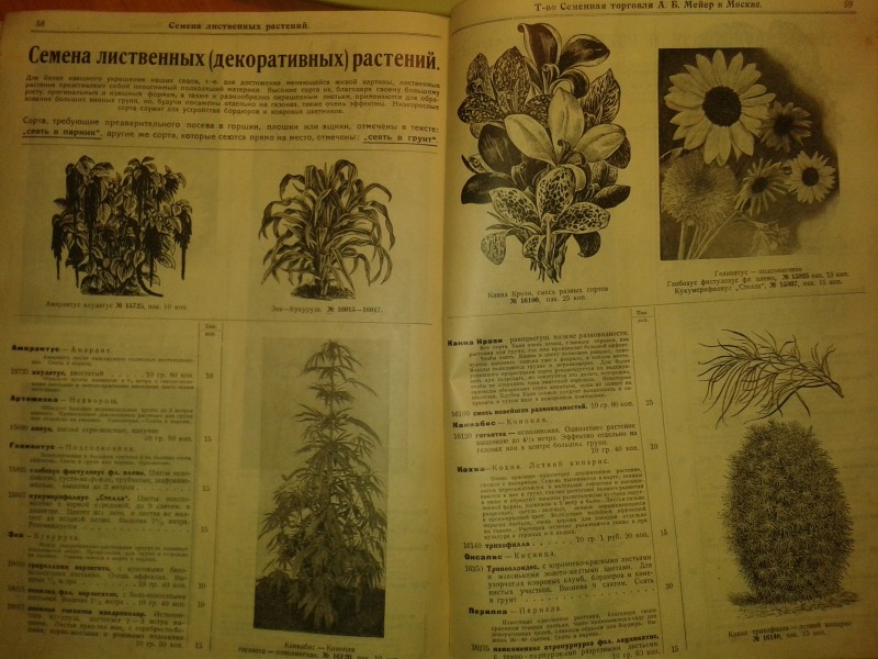 20190509_195137.jpg