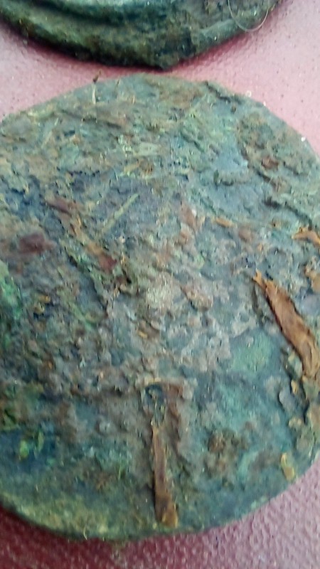 20250109_115056.jpg