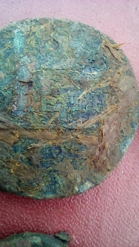20250109_115101.jpg