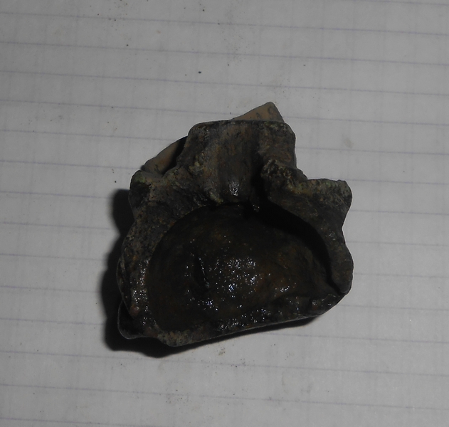 DSCN8174.JPG
