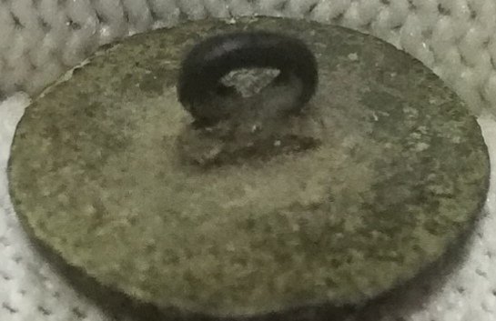 IMG_20250122_104931.jpg