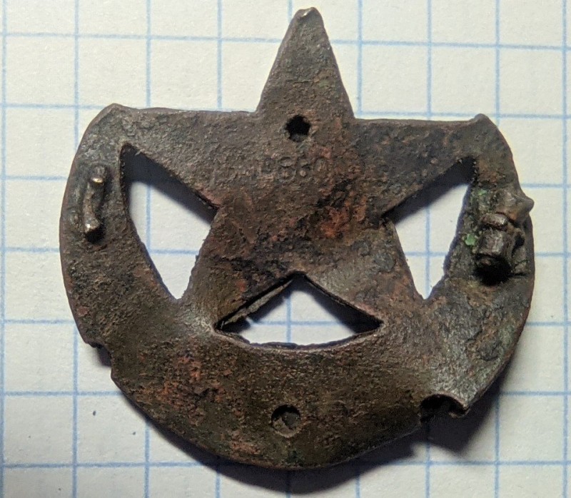 PXL_20250126_194643239.jpg
