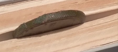 IMG_20250130_215524.jpg