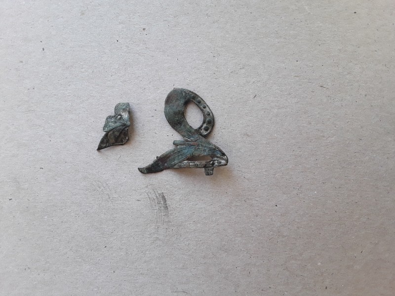 20190520_094740.jpg