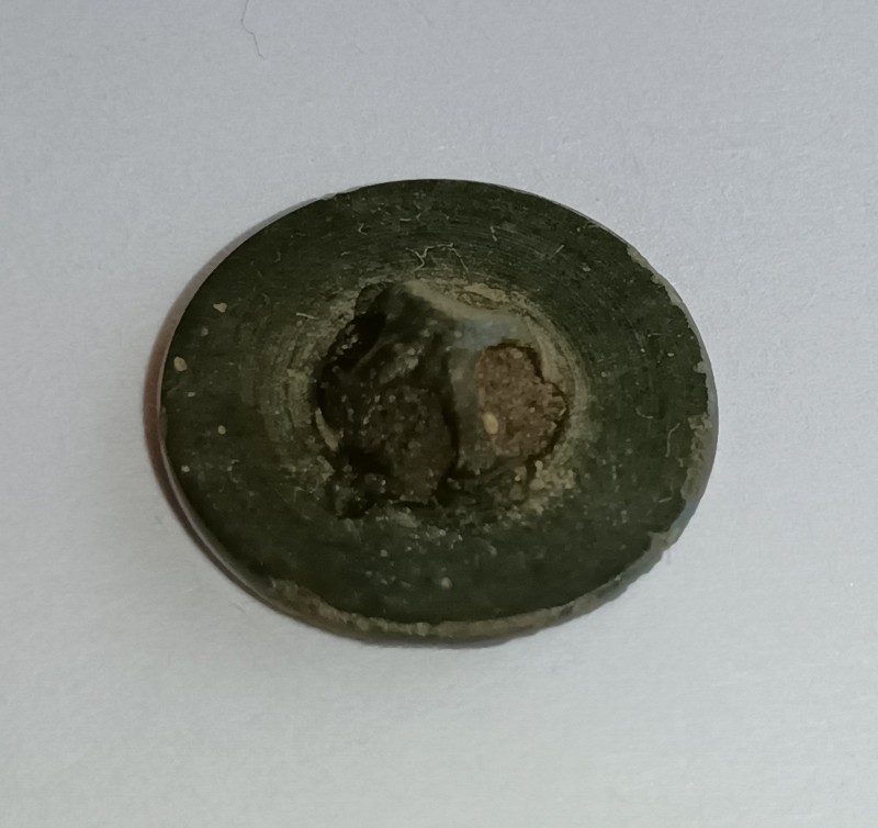 1000019838.jpg