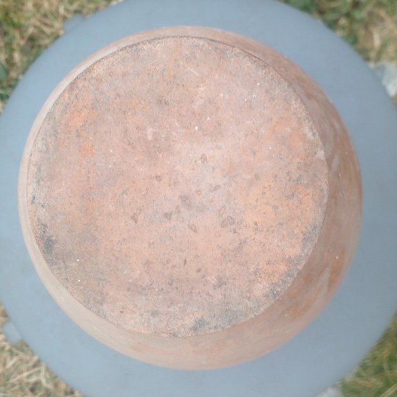 photo_editor_ds_1739522537316.jpg