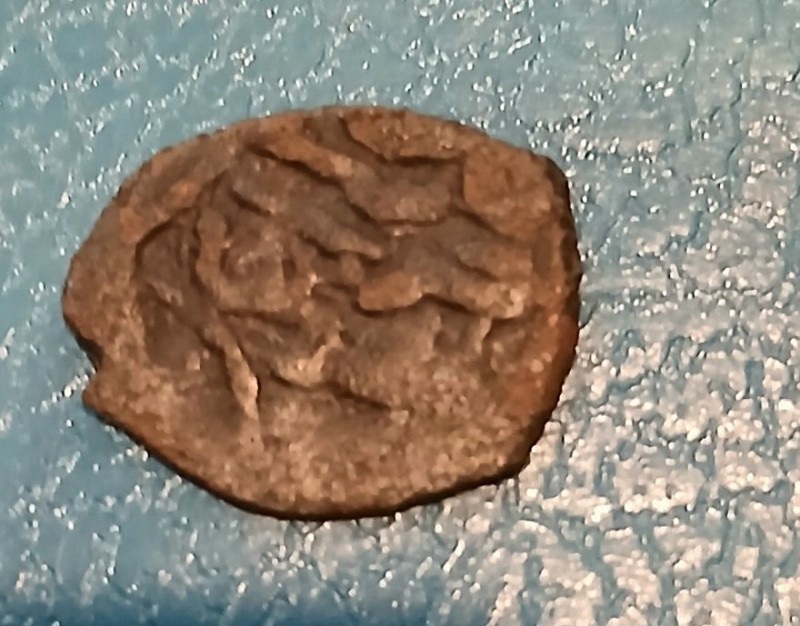 20250305_192322.jpg