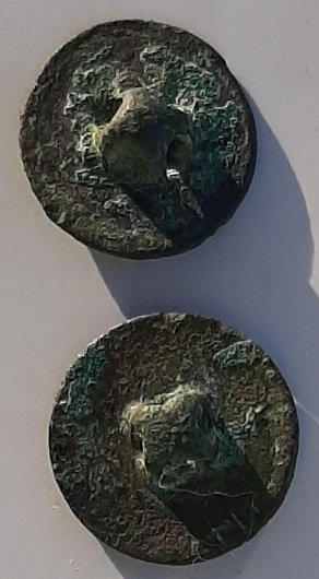 20250320_180305.jpg