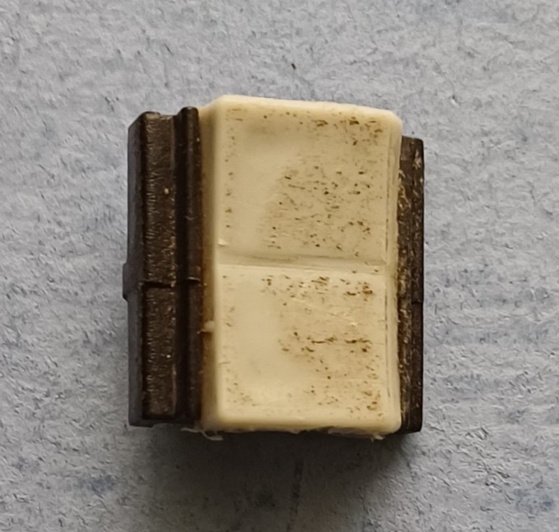 20250323_135254.jpg