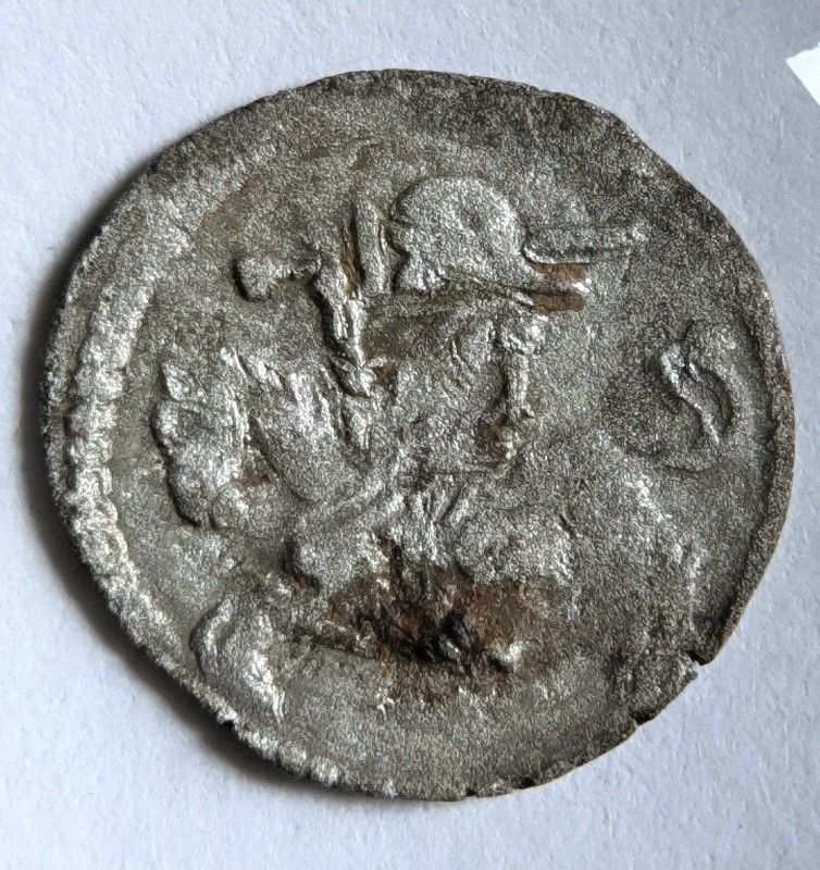 PXL-20250330-111507142-6.jpg