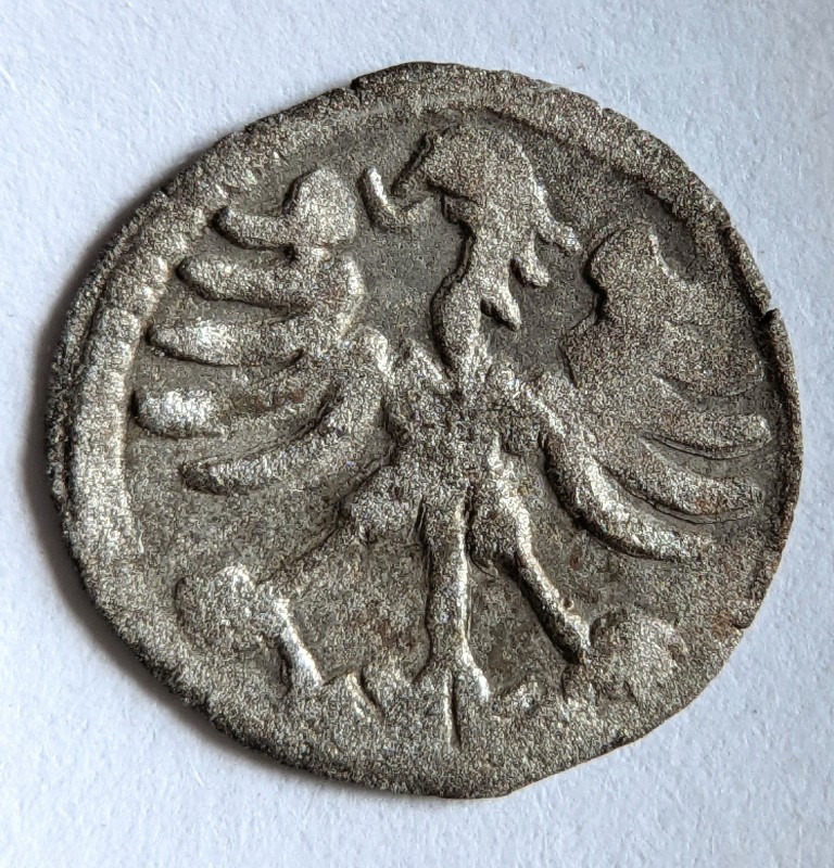 PXL-20250330-111129220-5.jpg