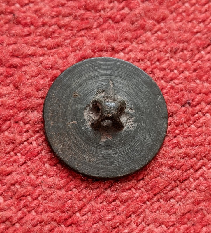 PXL-20250403-075417853-2.jpg