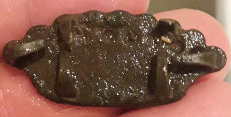 20190427_202347.jpg