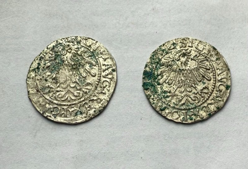 1746336824184.jpg