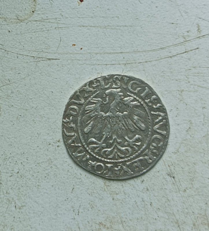 1747730544206.jpg
