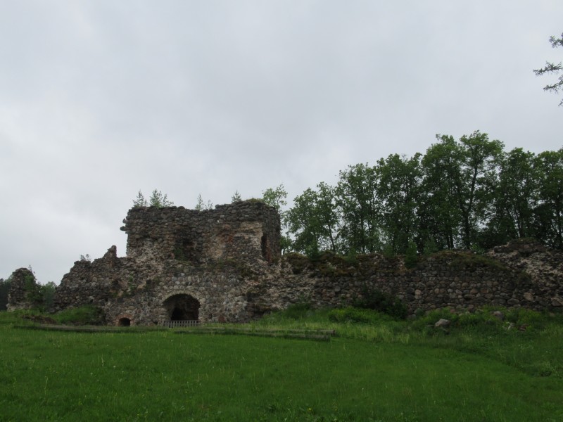 IMG_2294.JPG