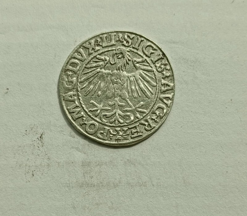 1748075799597.jpg