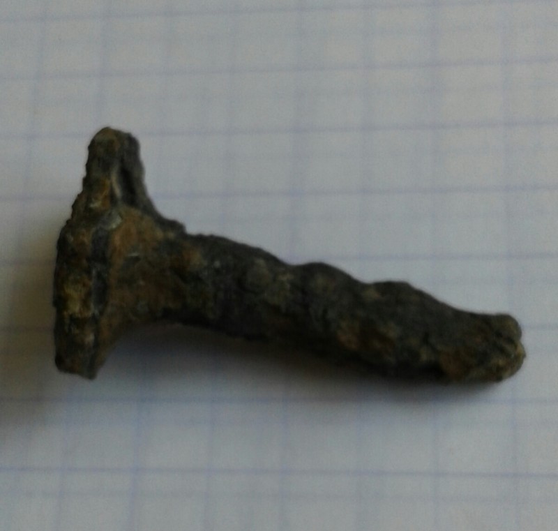 20190605_121023-1.jpg
