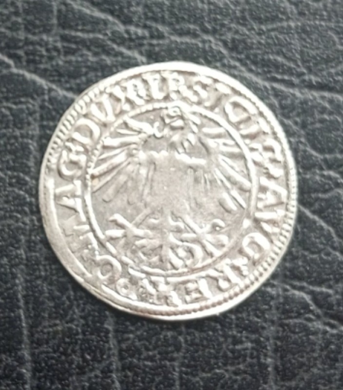 1751203560126.jpg