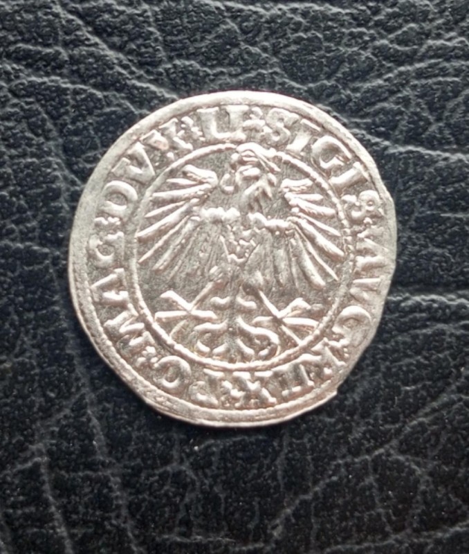 1751388330097.jpg