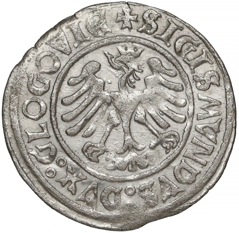 Глогов 2. Сигизмунд I. 1506 Реверс.jpg