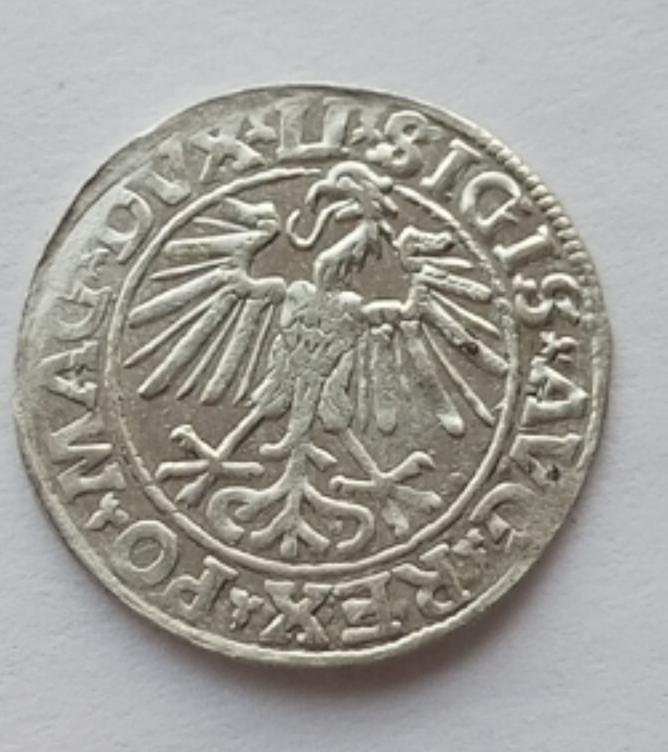 1751621143105.jpg