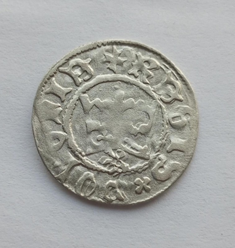 1751623462822_1.jpg
