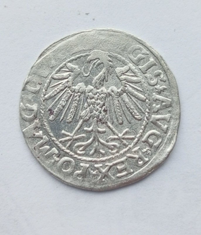 1752078088346.jpg