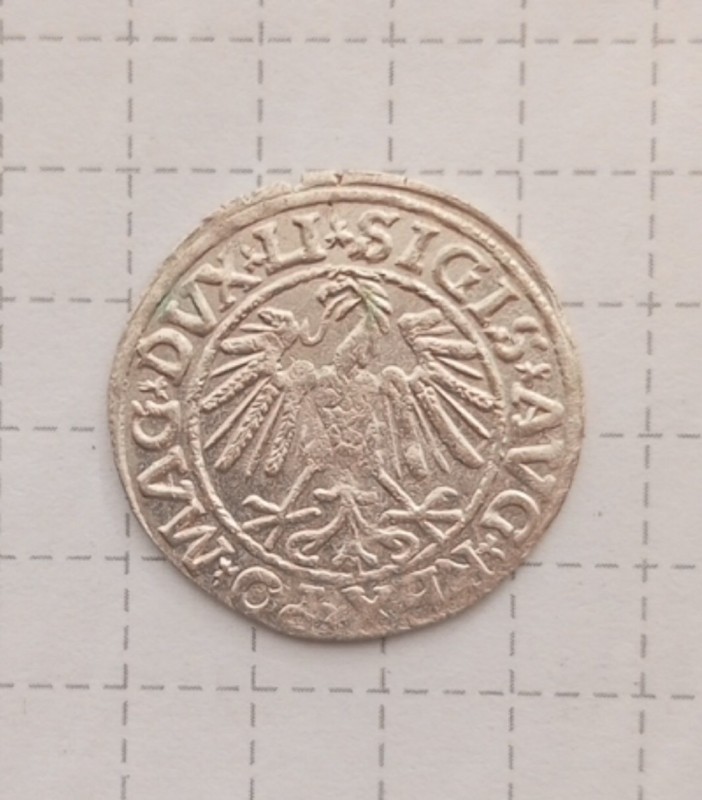 1752246267062.jpg