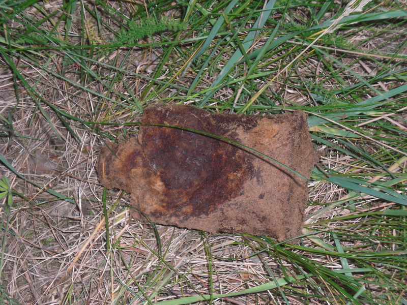 CIMG4134_exposure_resize.JPG