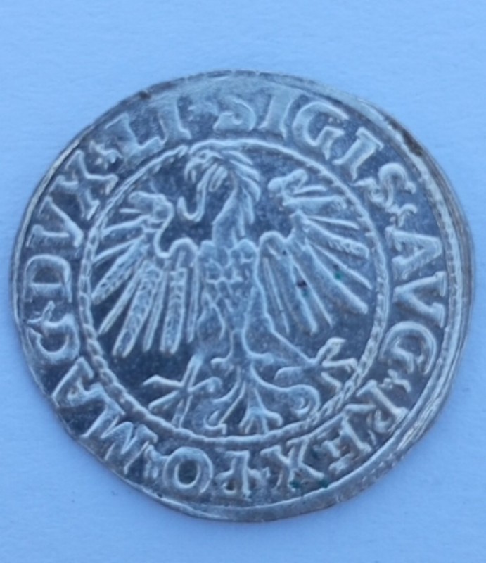 1752412176694.jpg