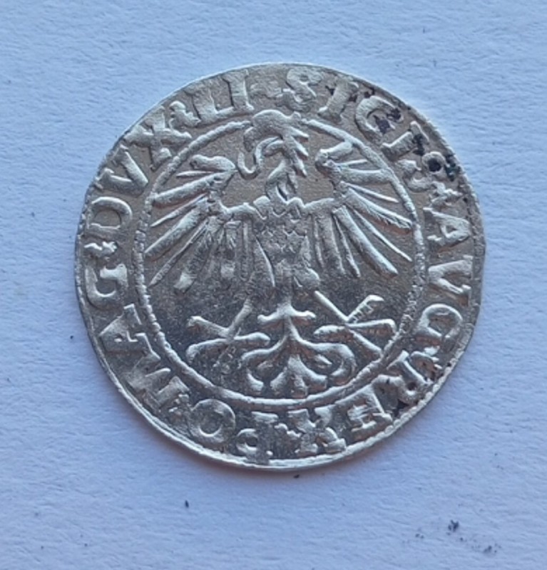 1752467623506.jpg
