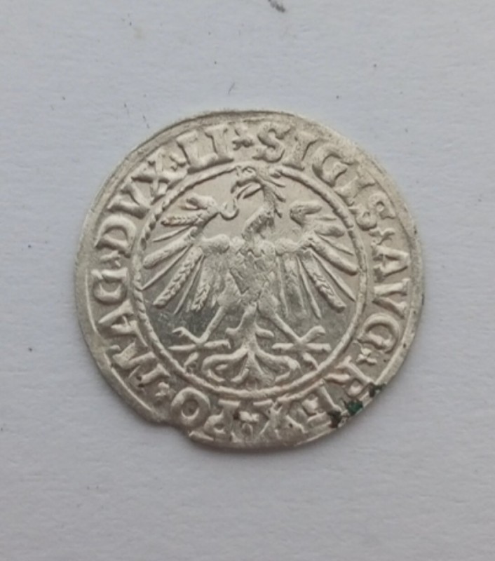 1752645312443.jpg