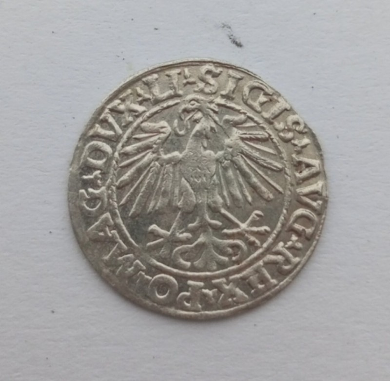 1752645387620.jpg