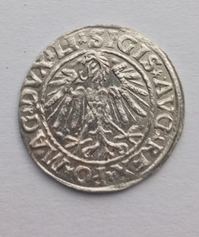 1752860416366.jpg
