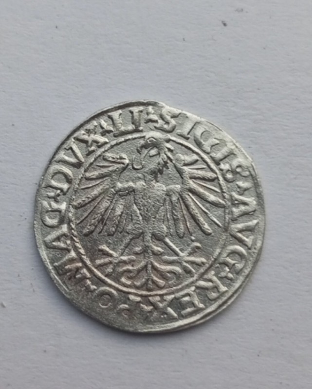 1752860126474.jpg