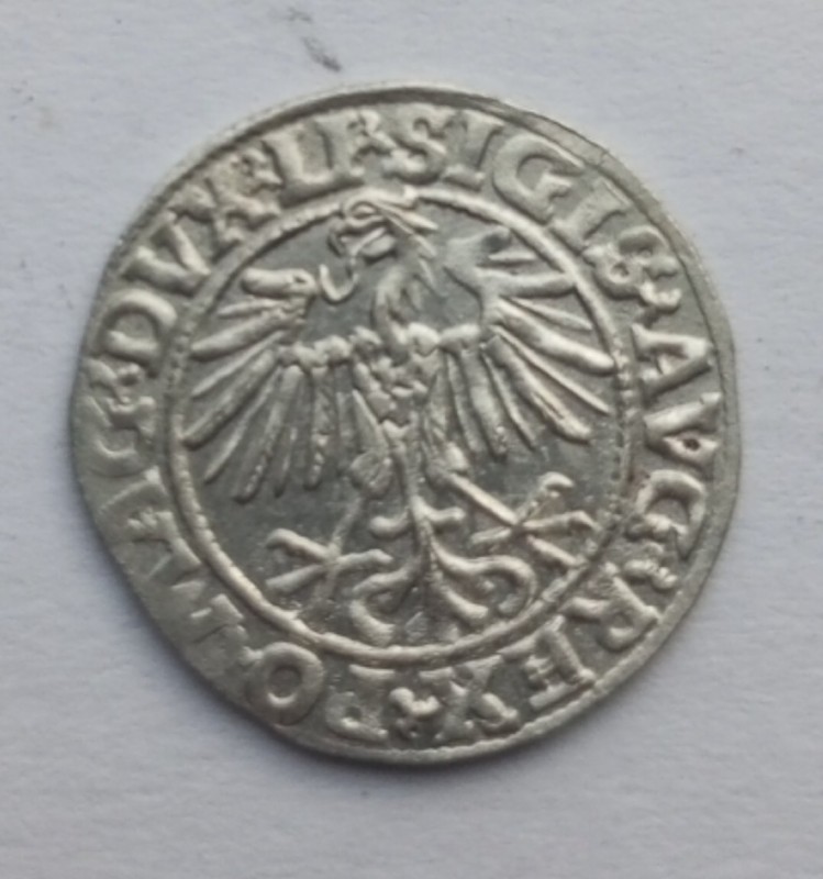 1752860083082.jpg